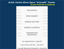 Tablet Screenshot of centrocoselli.it